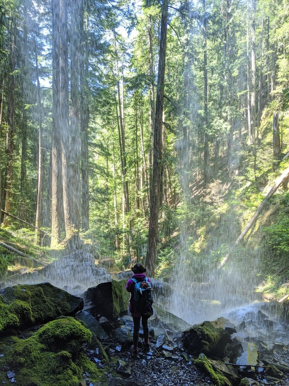 Grotto Falls - Roseburg - Glide - Waterfall Hike - What to do in Southern Oregon - Kids
