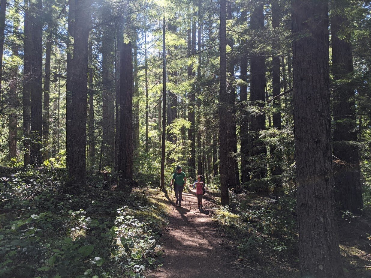 Hemlock Falls - North Umpqua - Roseburg - Glide - What to do in Southern Oregon - Hiking with Kids - Travel