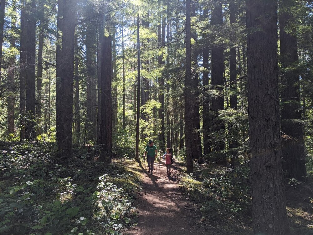 Hemlock Falls - North Umpqua - Roseburg - Glide - What to do in Southern Oregon - Hiking with Kids - Travel
