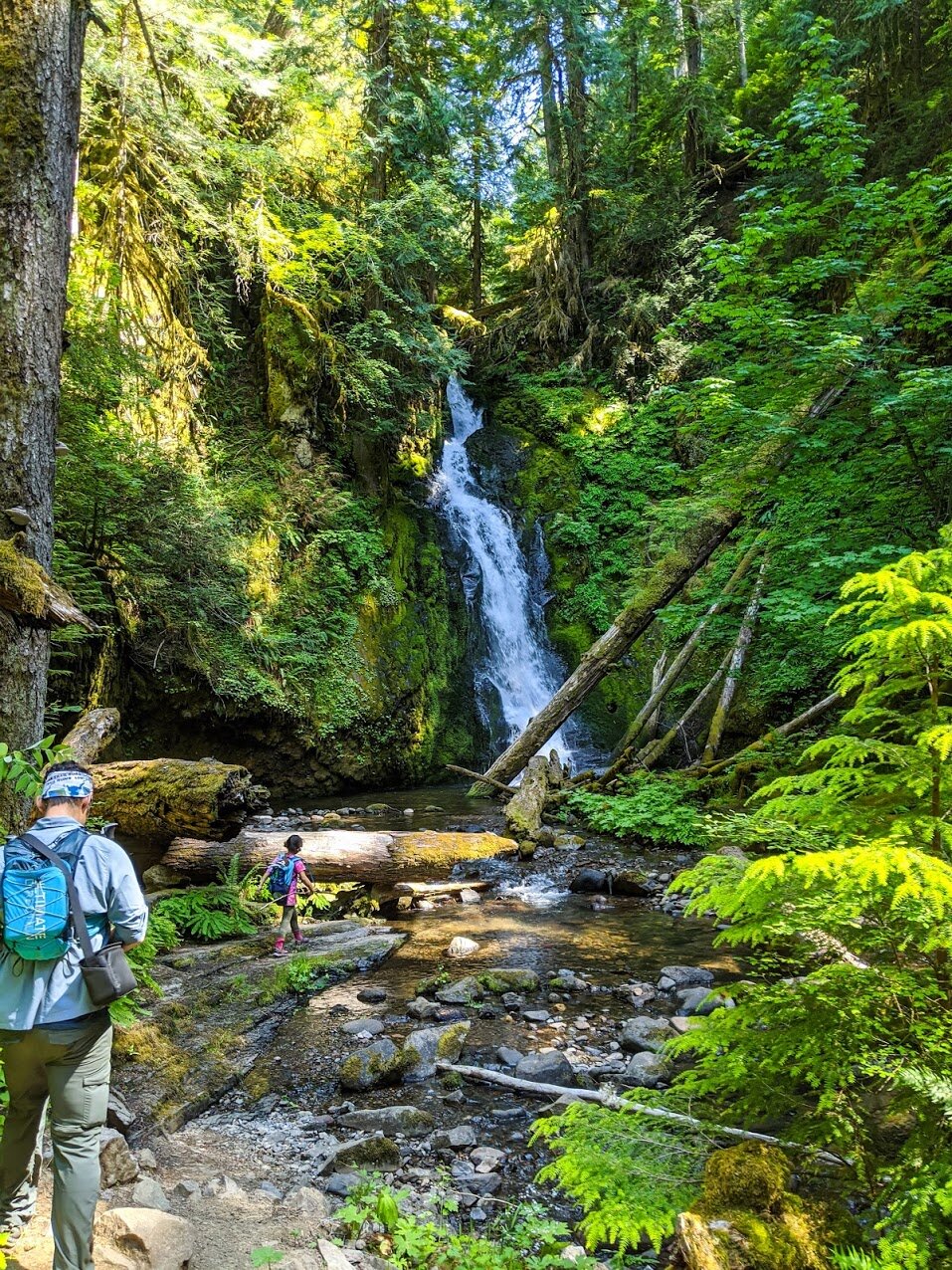 Hemlock Falls - North Umpqua - Roseburg - Glide - What to do in Southern Oregon - Hiking with Kids - Travel