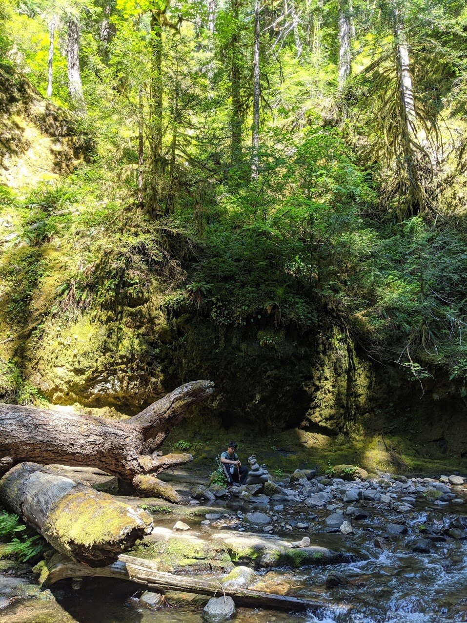 Hemlock Falls - North Umpqua - Roseburg - Glide - What to do in Southern Oregon - Hiking with Kids - Travel