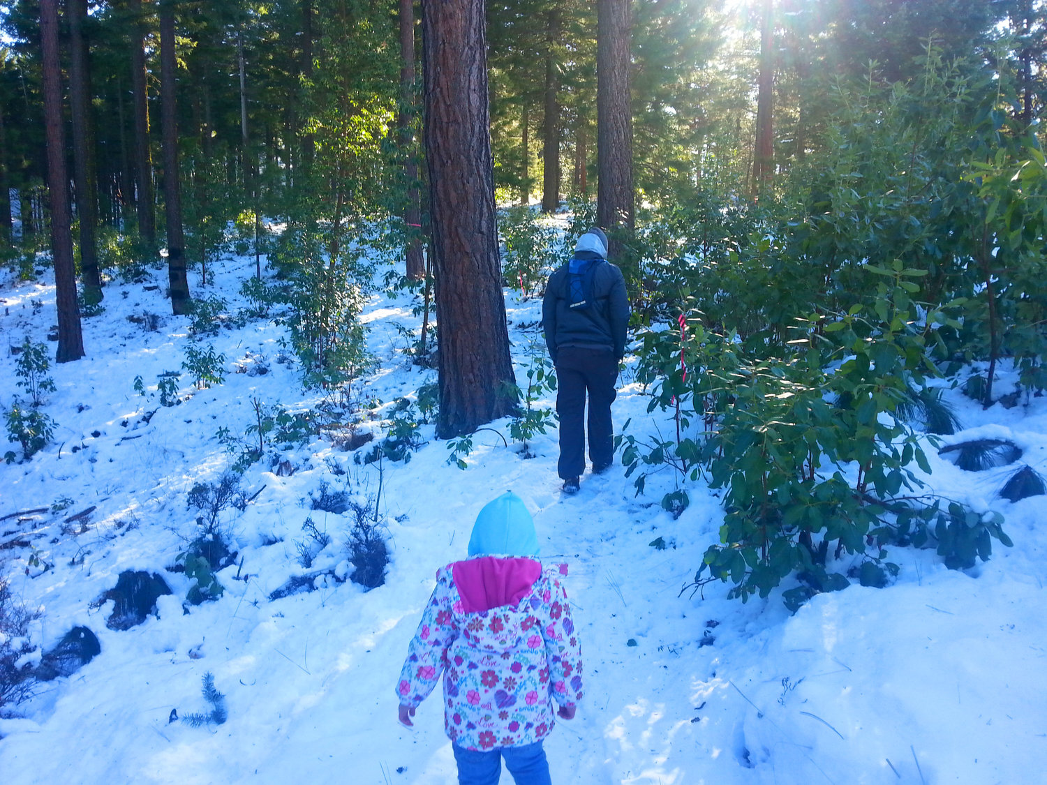 5 MORE GREAT SOUTHERN OREGON HIKES TO DO WITH KIDS