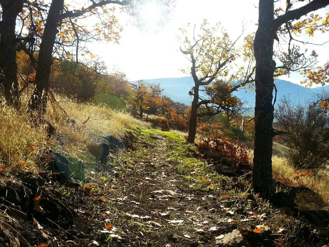 HIKING ROXY ANN - OUR LOVE AFFAIR WITH MEDFORD