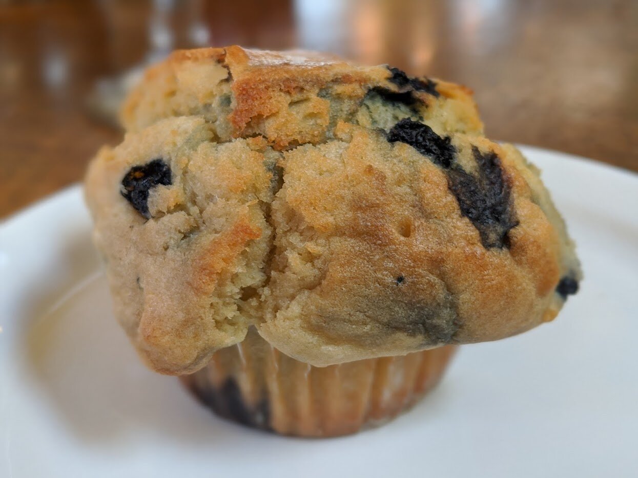 Muffin - Morning Glory.jpg