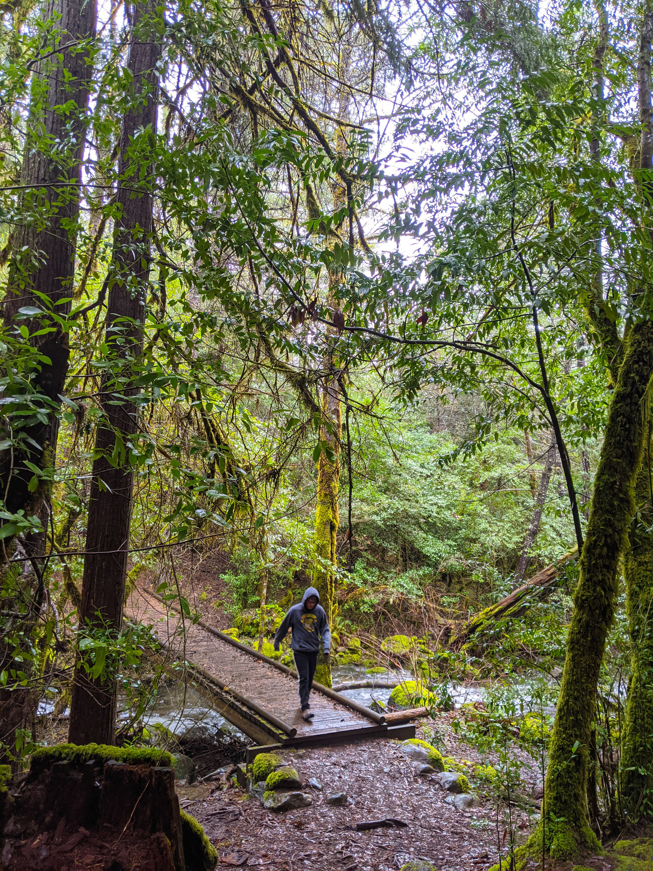 Limpy Botanical Interpretive Trail - Grants Pass - What to do in Southern Oregon