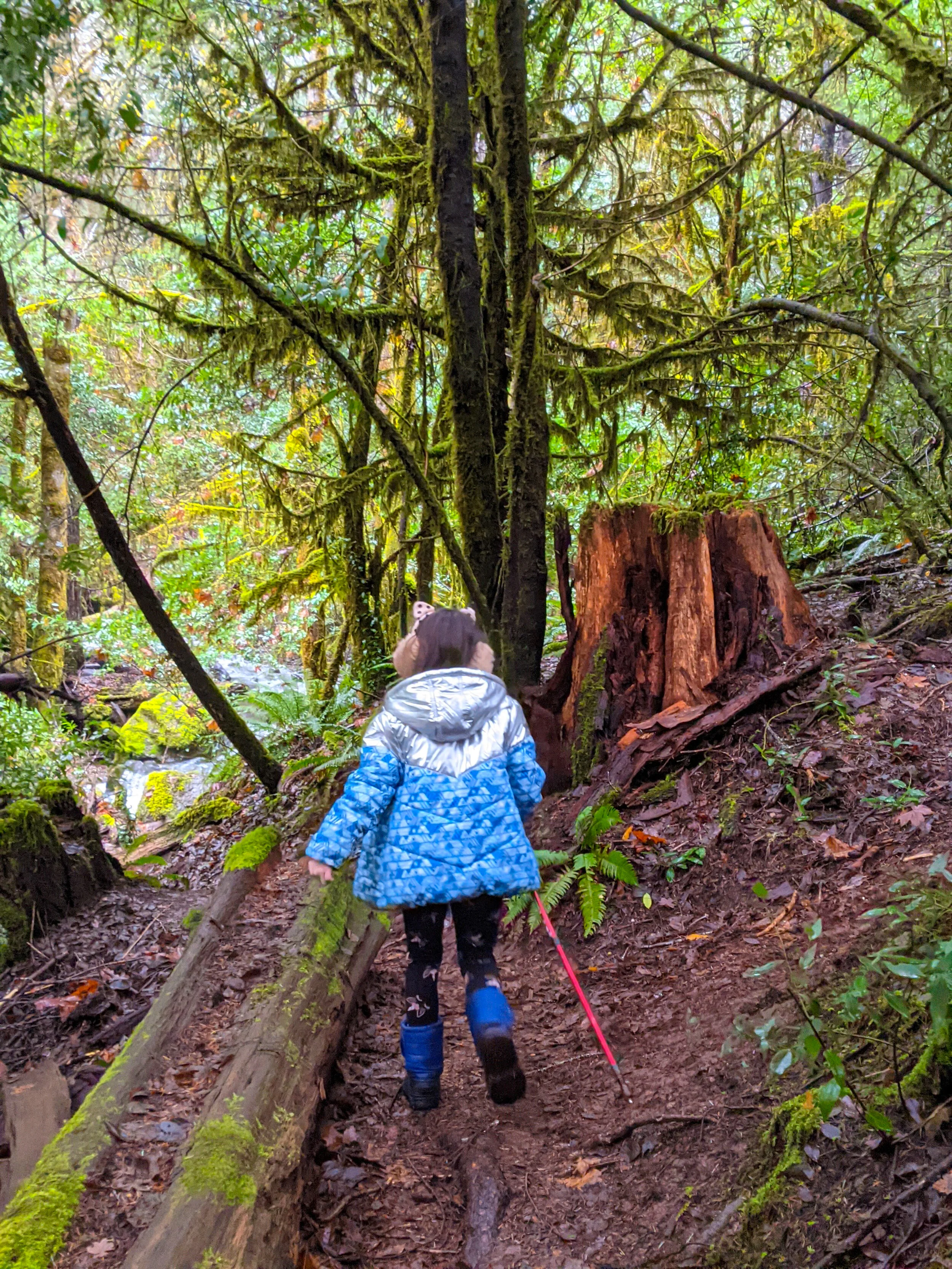 Limpy Creek Botanical Interpretive Loop Trail - Grants Pass - What to do in Southern Oregon - Hikes