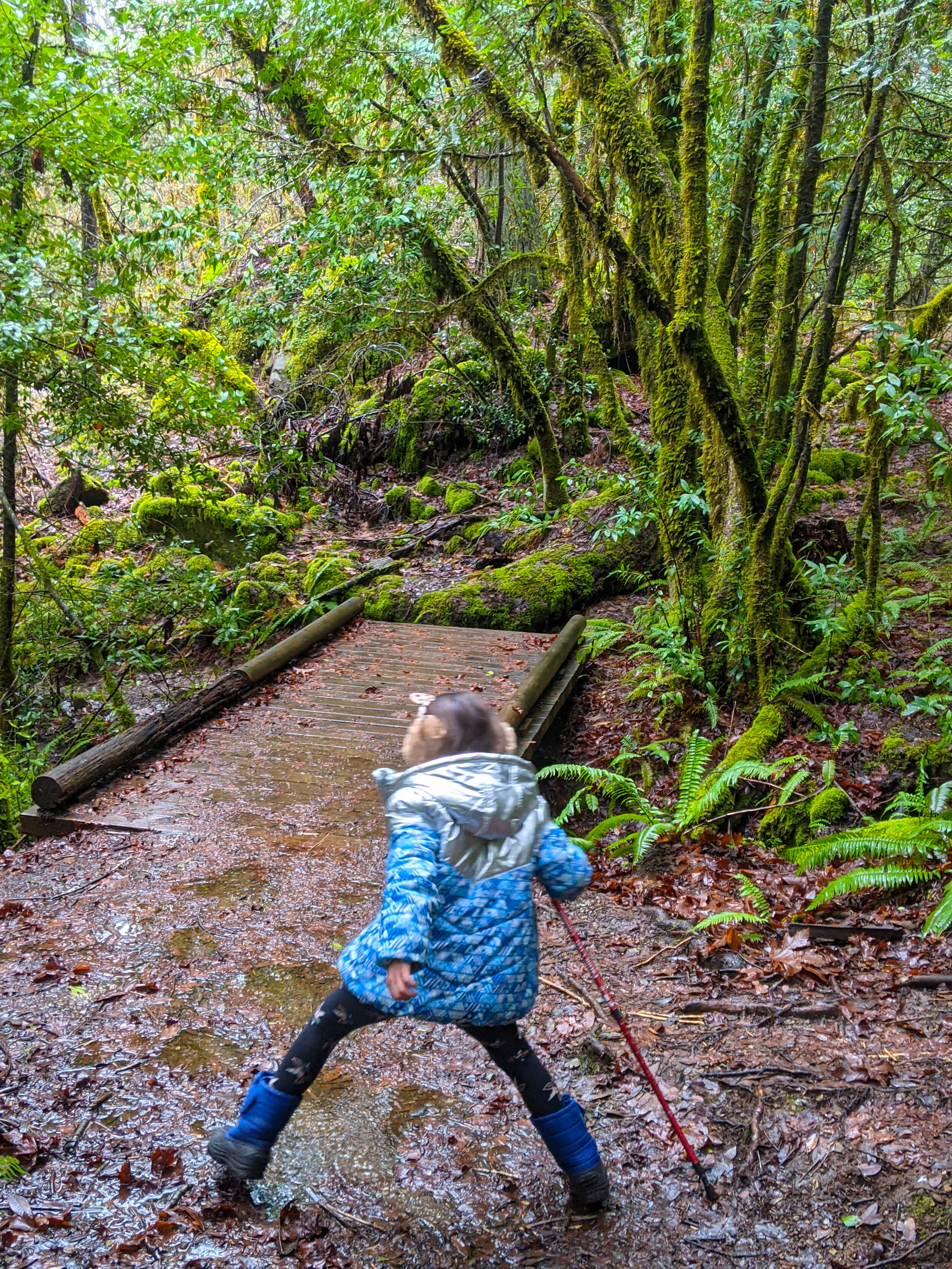 Limpy Creek Botanical Interpretive Loop Trail - Grants Pass - What to do in Southern Oregon - Hikes