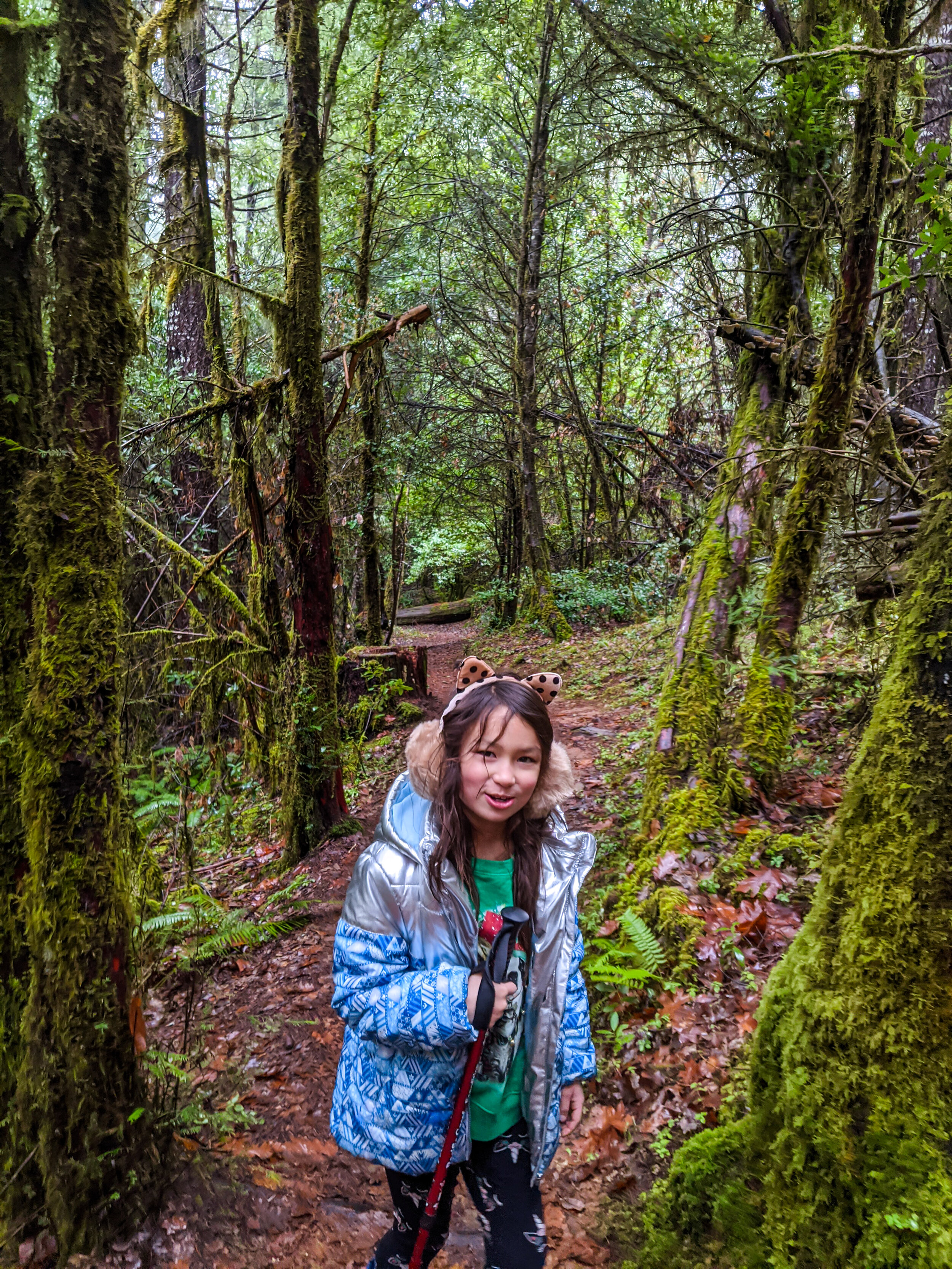 Limpy Creek Botanical Interpretive Loop Trail - Grants Pass - What to do in Southern Oregon - Hikes