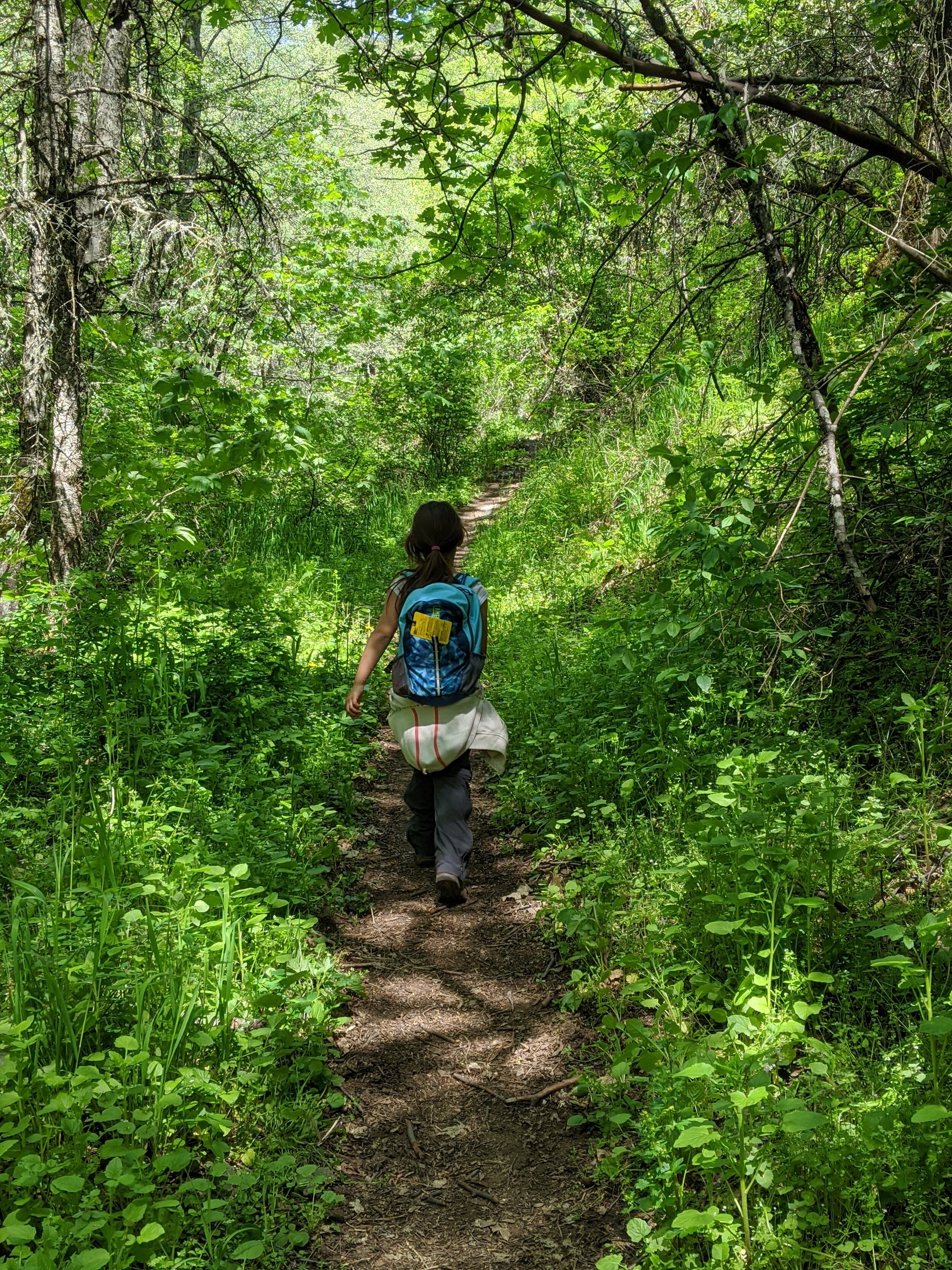 Jackson Creek Wetlands - Hiking Jacksonville - What to do in Southern Oregon