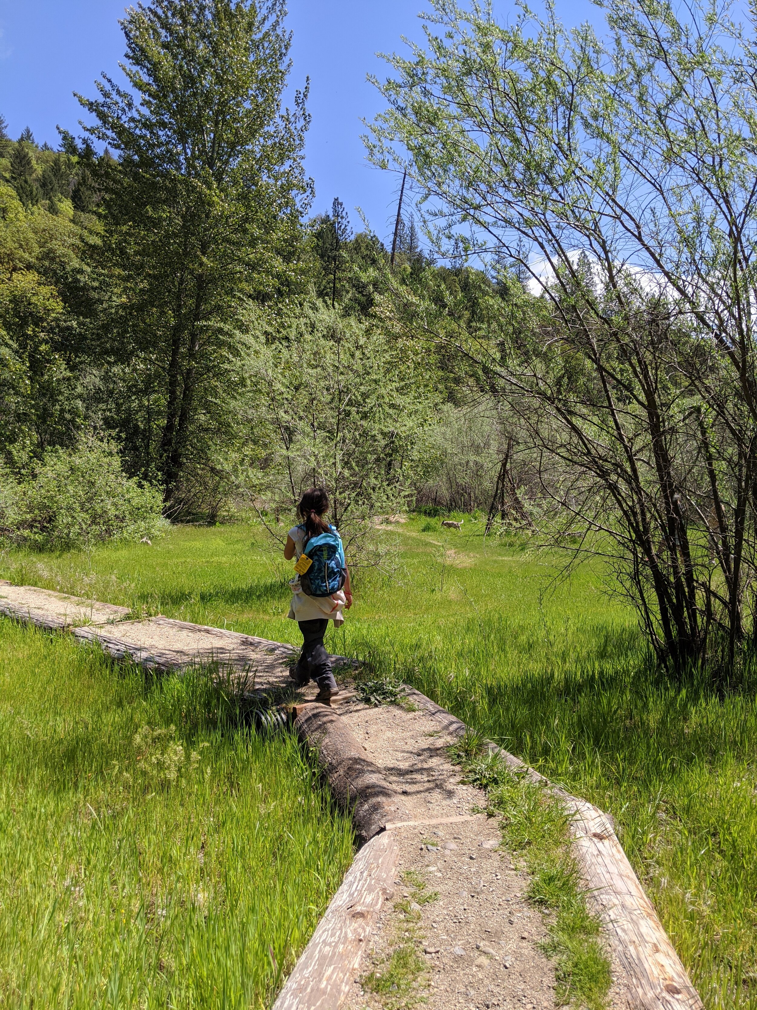Jackson Creek Wetlands - Jacksonville Hikes - What to do in Southern Oregon with kids