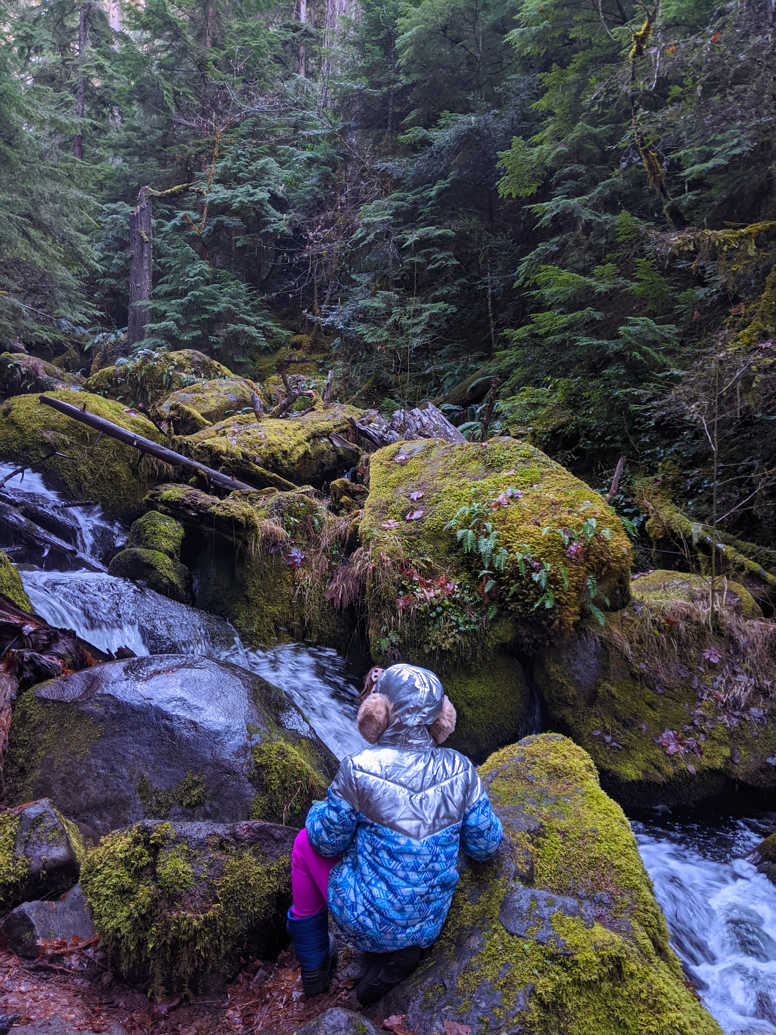 Watson Falls - Roseburg - Hikes with Kids - What to do in Southern Oregon