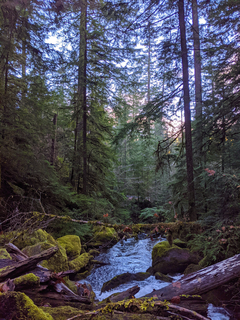 Watson Falls - Roseburg - Hikes with Kids - What to do in Southern Oregon