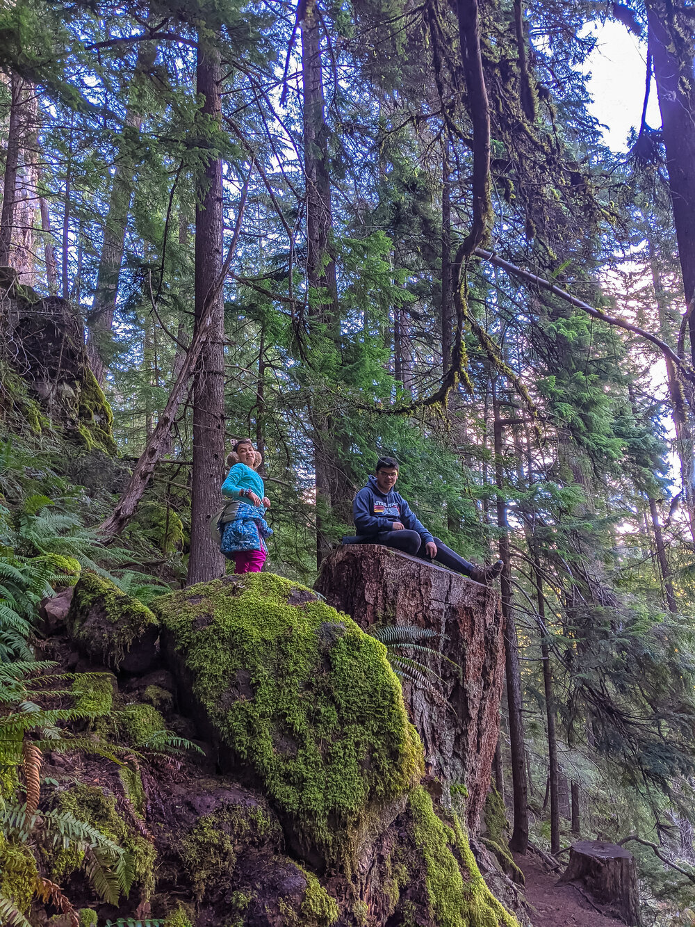 Watson Falls - Roseburg - Hikes with Kids - What to do in Southern Oregon