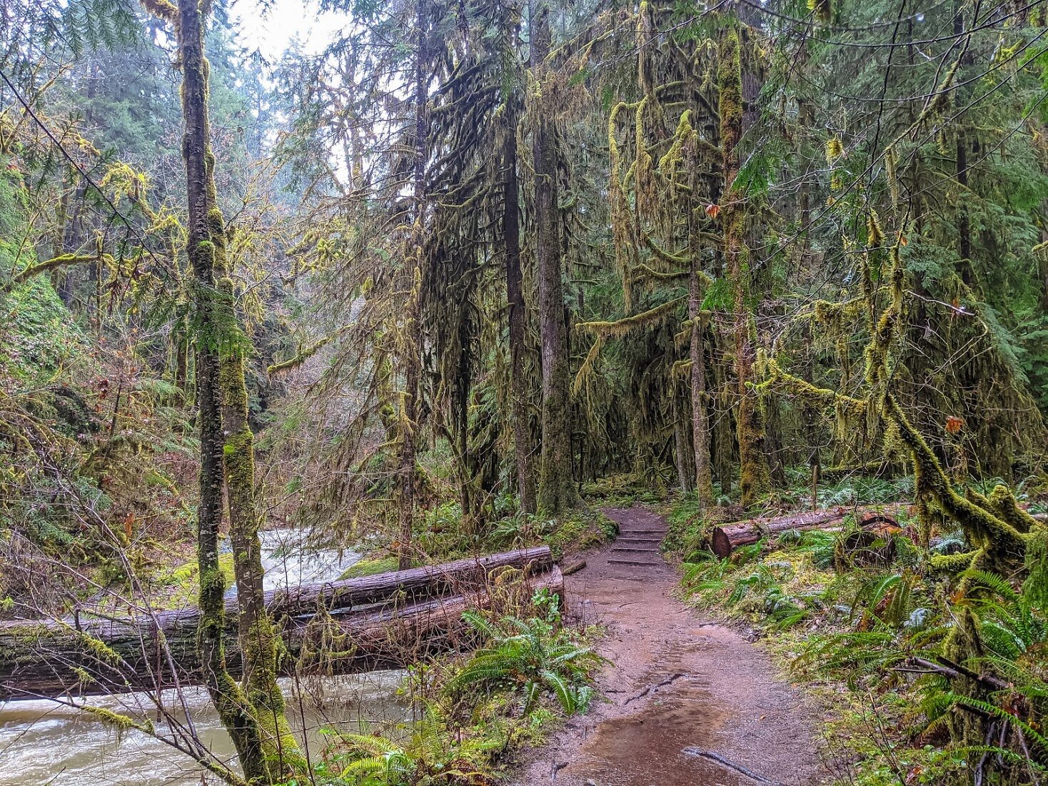 Waterfalls - Glide - hikes-falls-roseburg-waterfalls-hiking