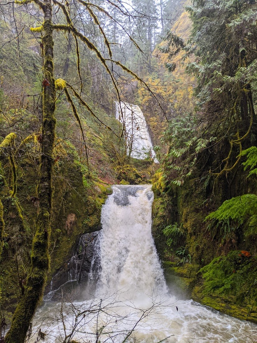 Waterfalls - Glide - hikes-falls-roseburg-waterfalls-hiking