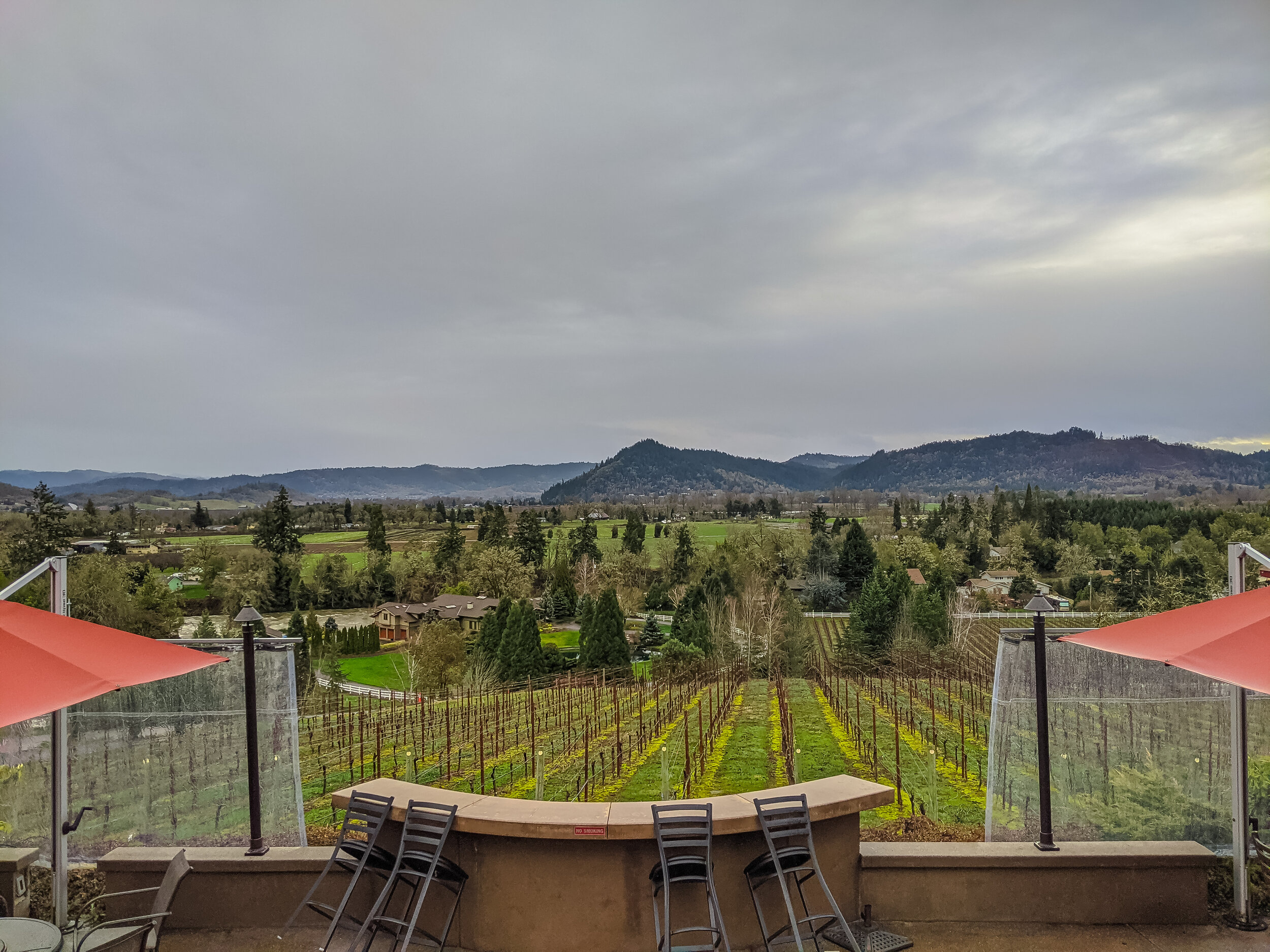 Cooper Ridge Vineyard