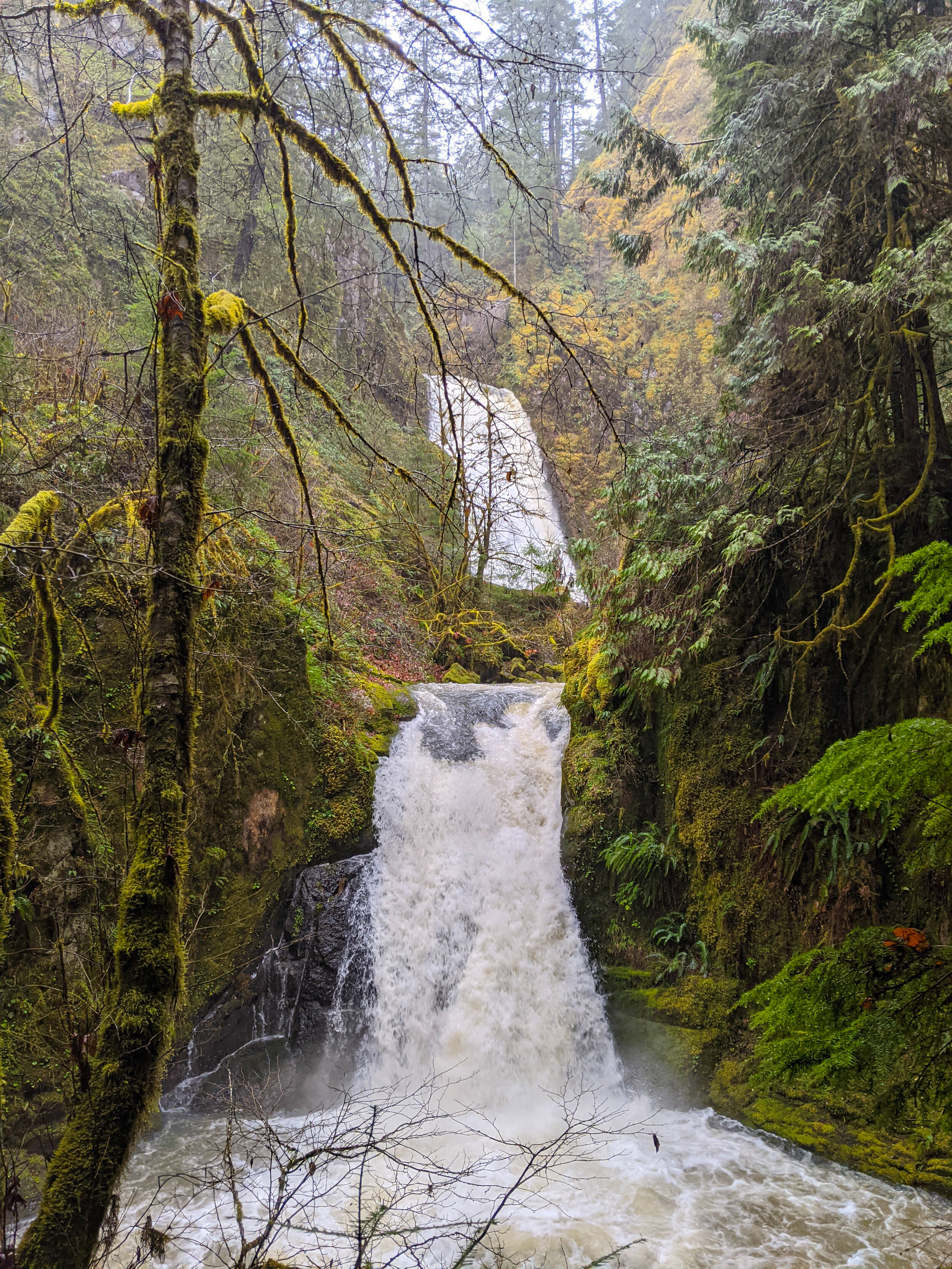 WOLF CREEK FALLS - HIKING OREGON WATERFALLS