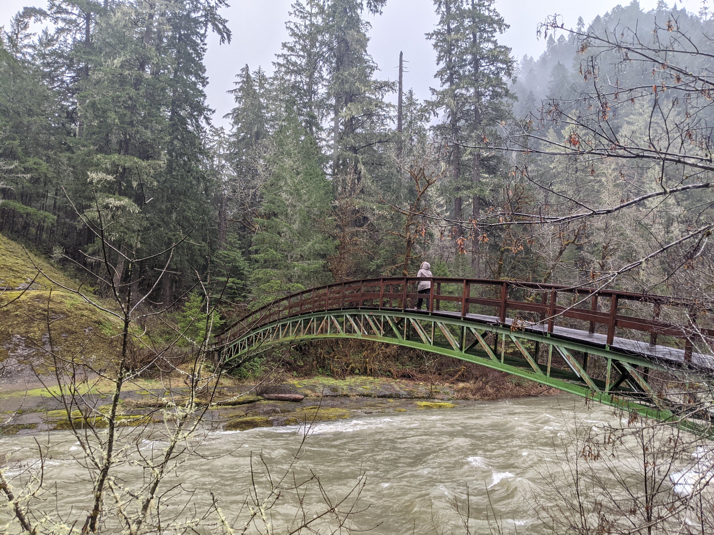 WOLF CREEK FALLS - HIKING OREGON WATERFALLS