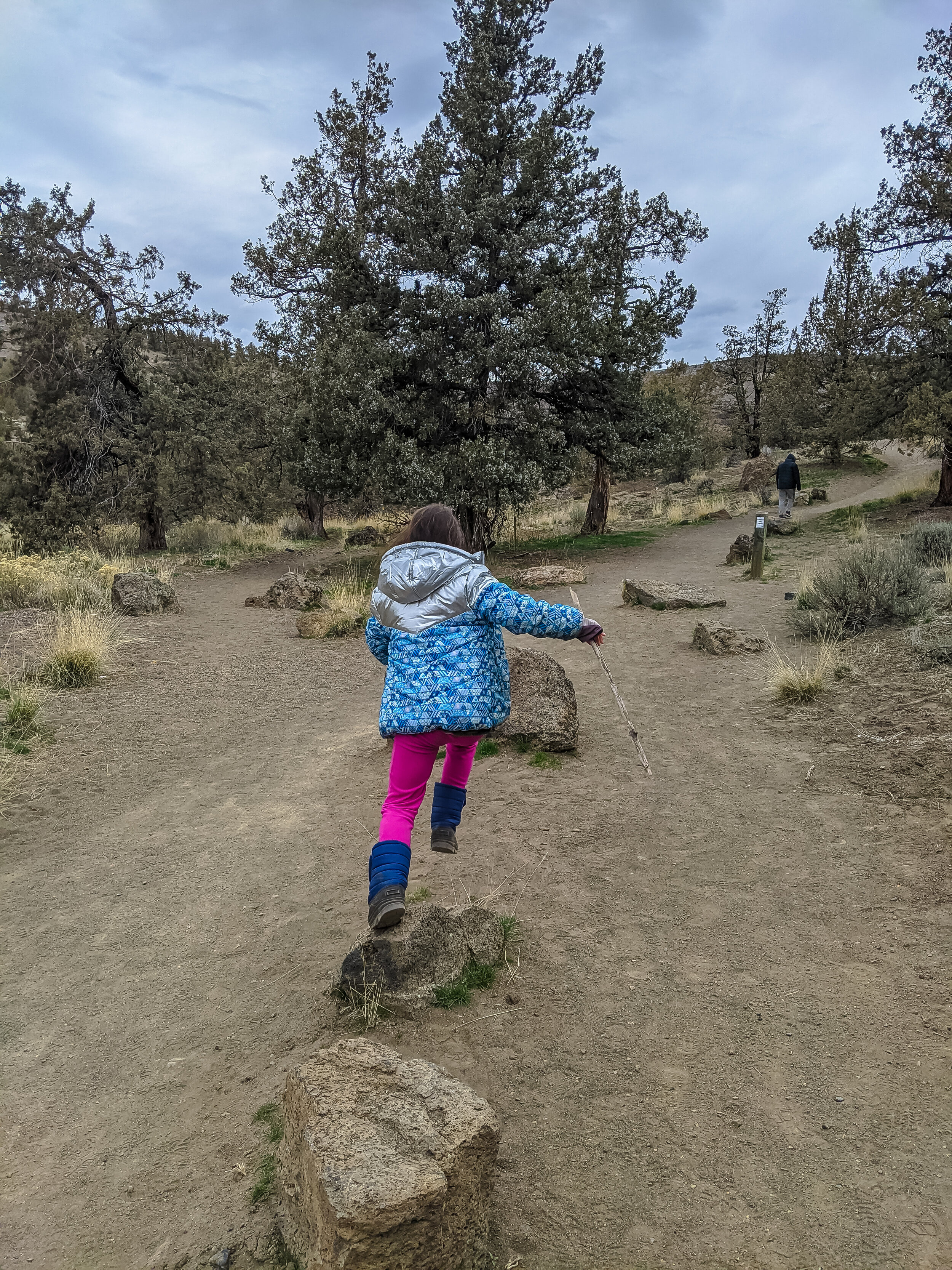 HIKES NEAR BEND - STEELHEAD FALLS