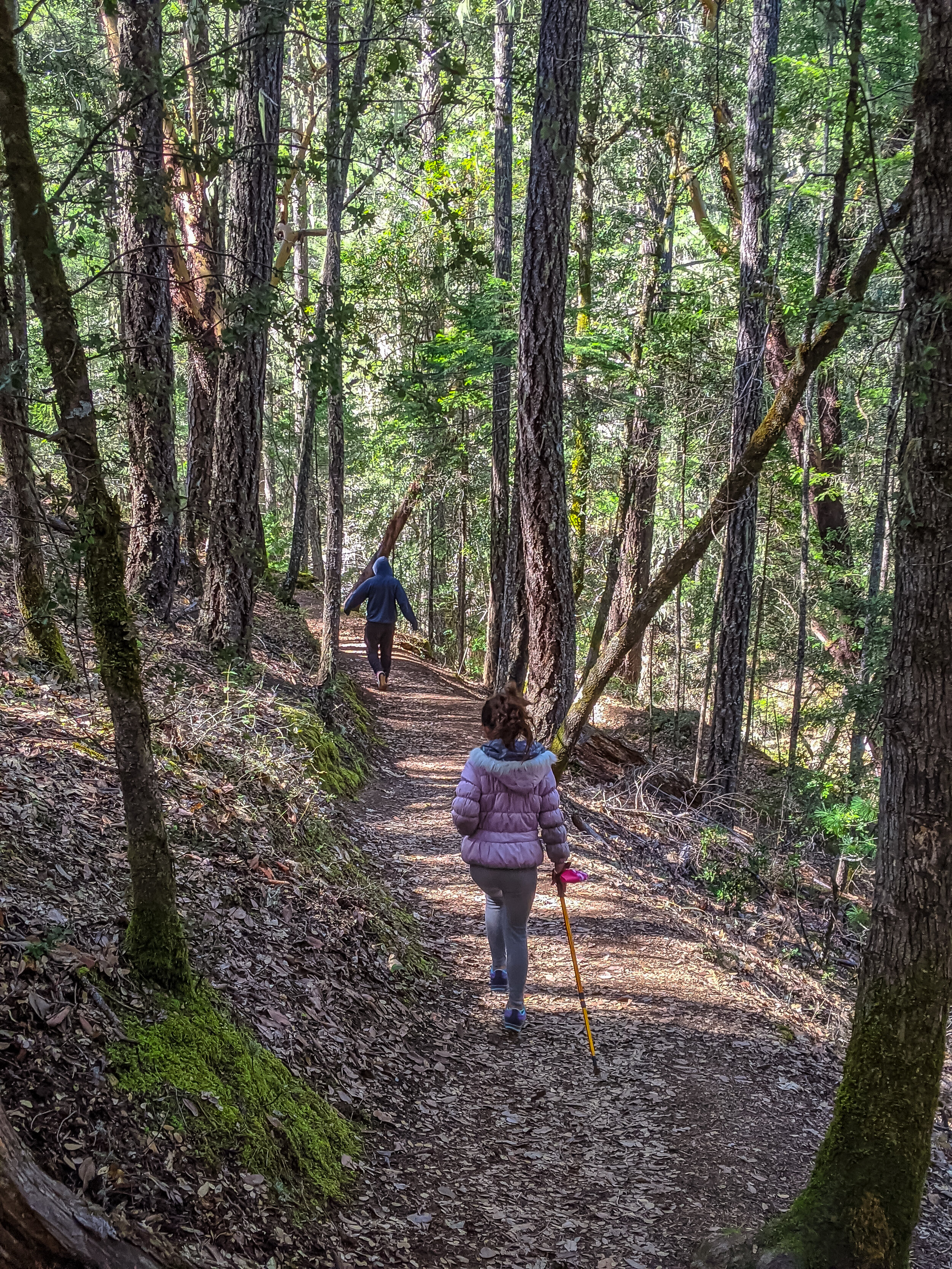 BIGFOOT TRAP &amp; HIKING GROUSE LOOP - OUR HIKING ADVENTURES WITH KIDS