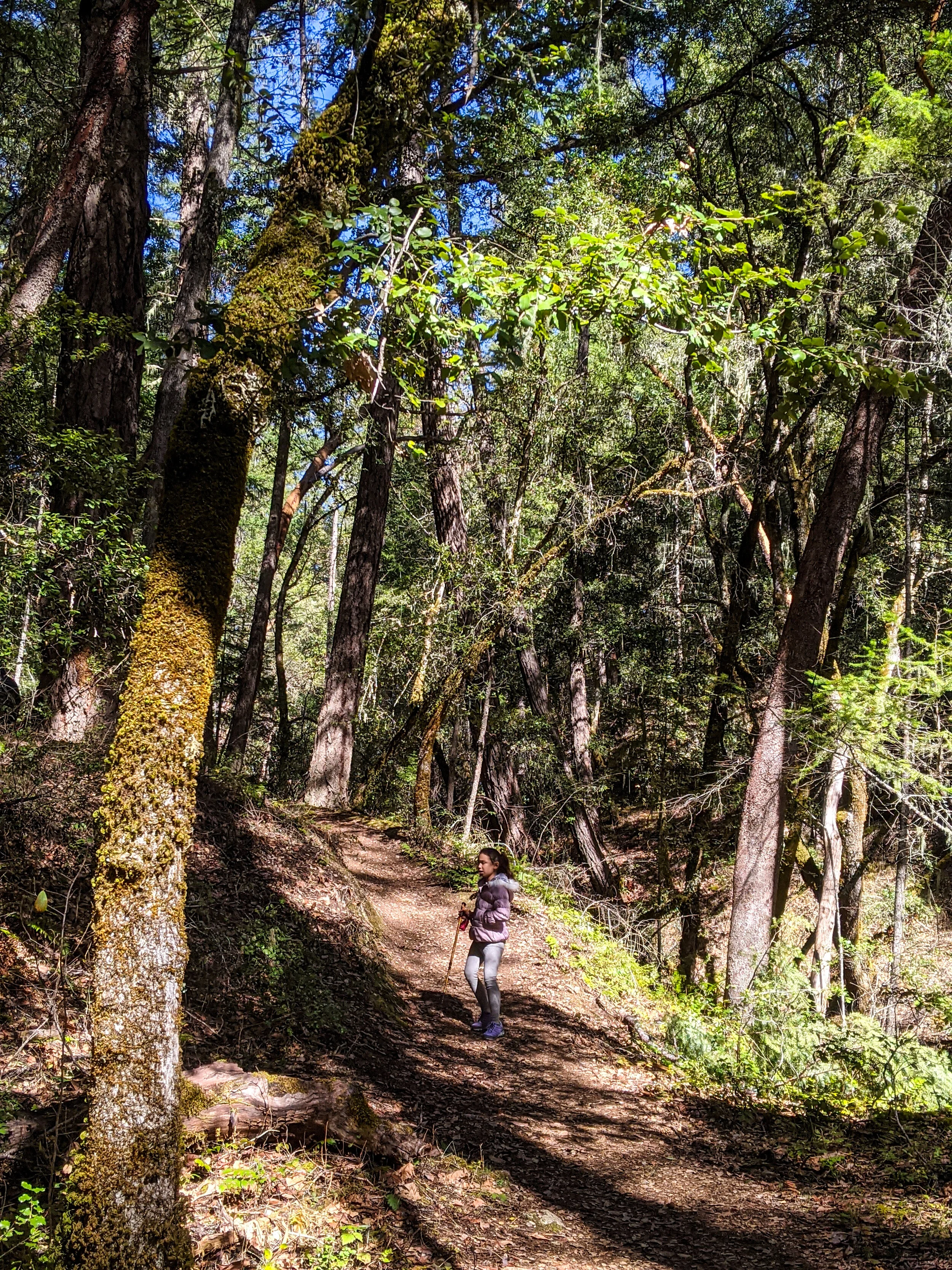BIGFOOT TRAP &amp; HIKING GROUSE LOOP - OUR HIKING ADVENTURES WITH KIDS