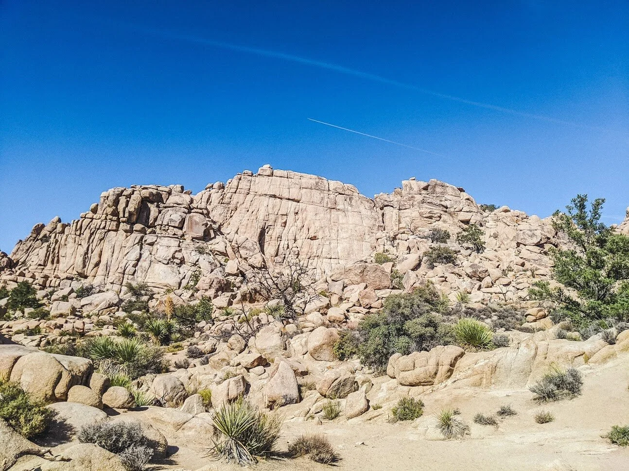 Hidden Valley Trail - Joshua Tree