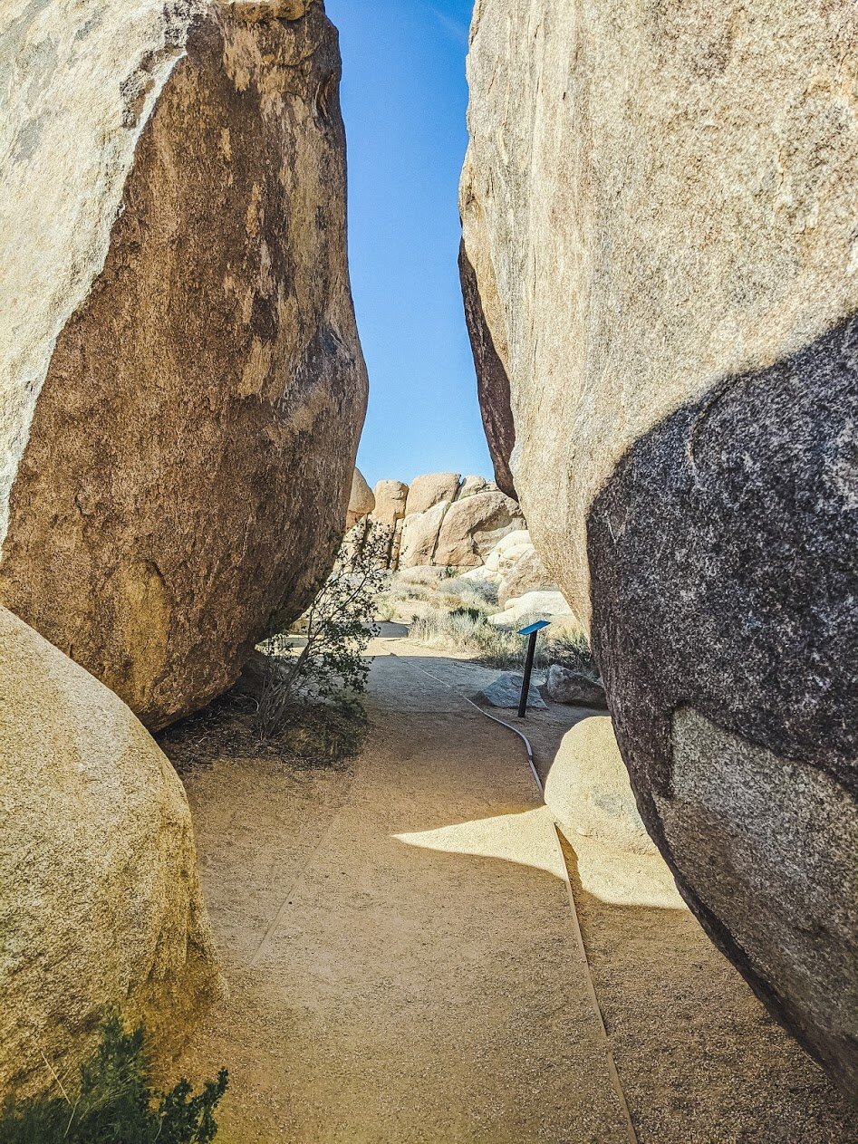 Cap Rock Nature Trail - Joshua Tree National Park, California - Hiking - Family Traveil - Fun with Kids