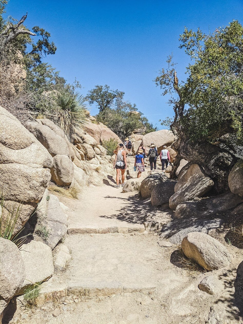 Barker Dam Trail - Joshua Tree National Park, California - Hiking - Family Travel - Fun with Kids