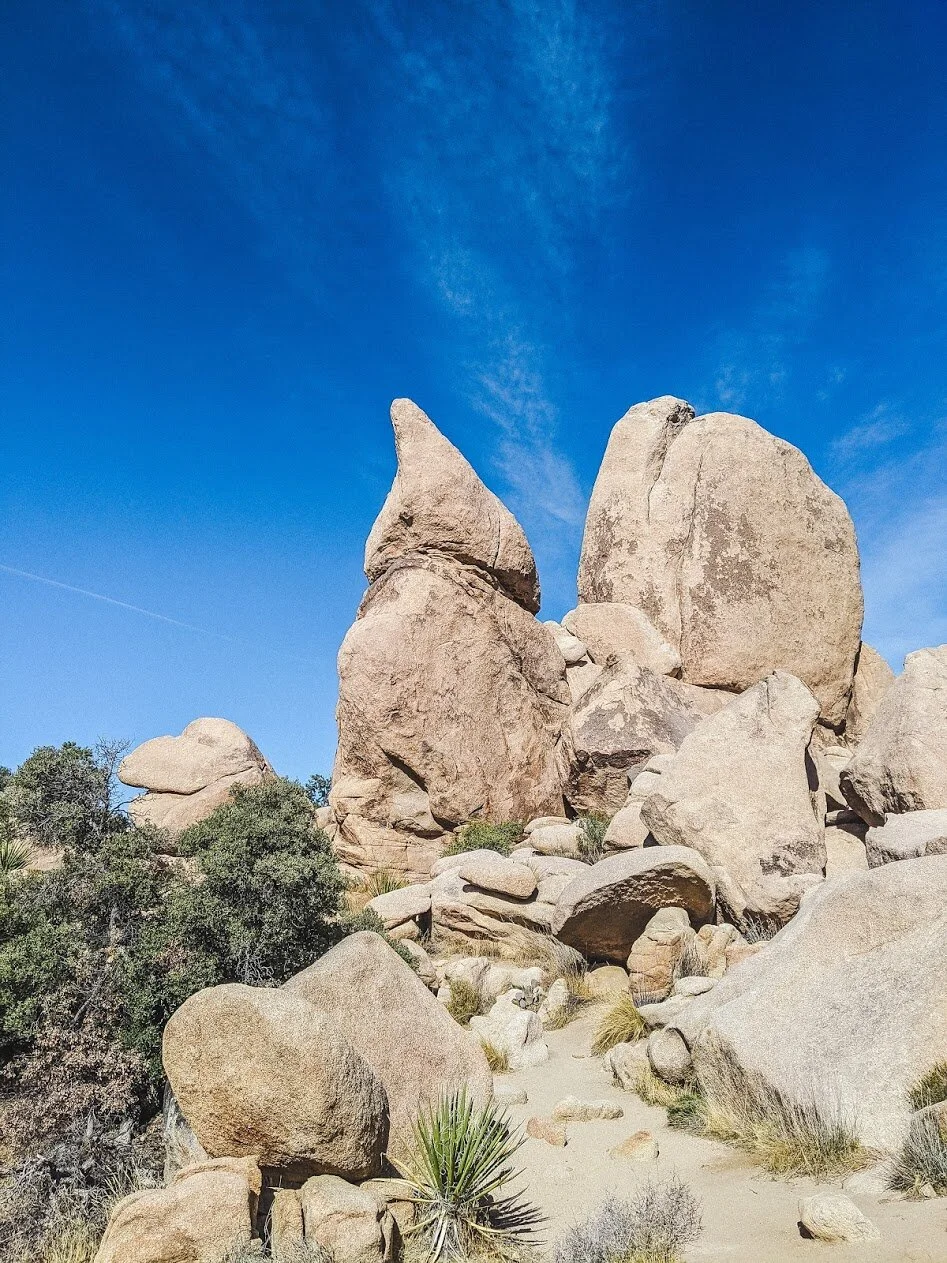 Hidden Valley Trail - Joshua Tree National Park, California - Hiking - Family Traveil - Fun with Kids