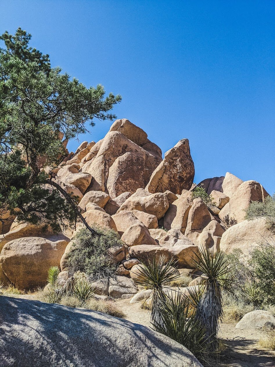 Hidden Valley Trail - Joshua Tree National Park, California - Hiking - Family Traveil - Fun with Kids
