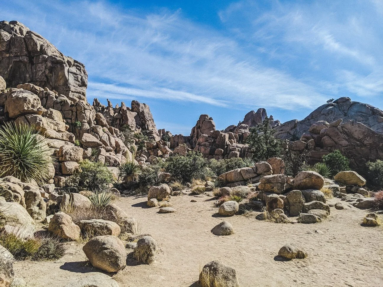 THREE EASY HIKES FOR ONE DAY IN JOSHUA TREE NATIONAL PARK