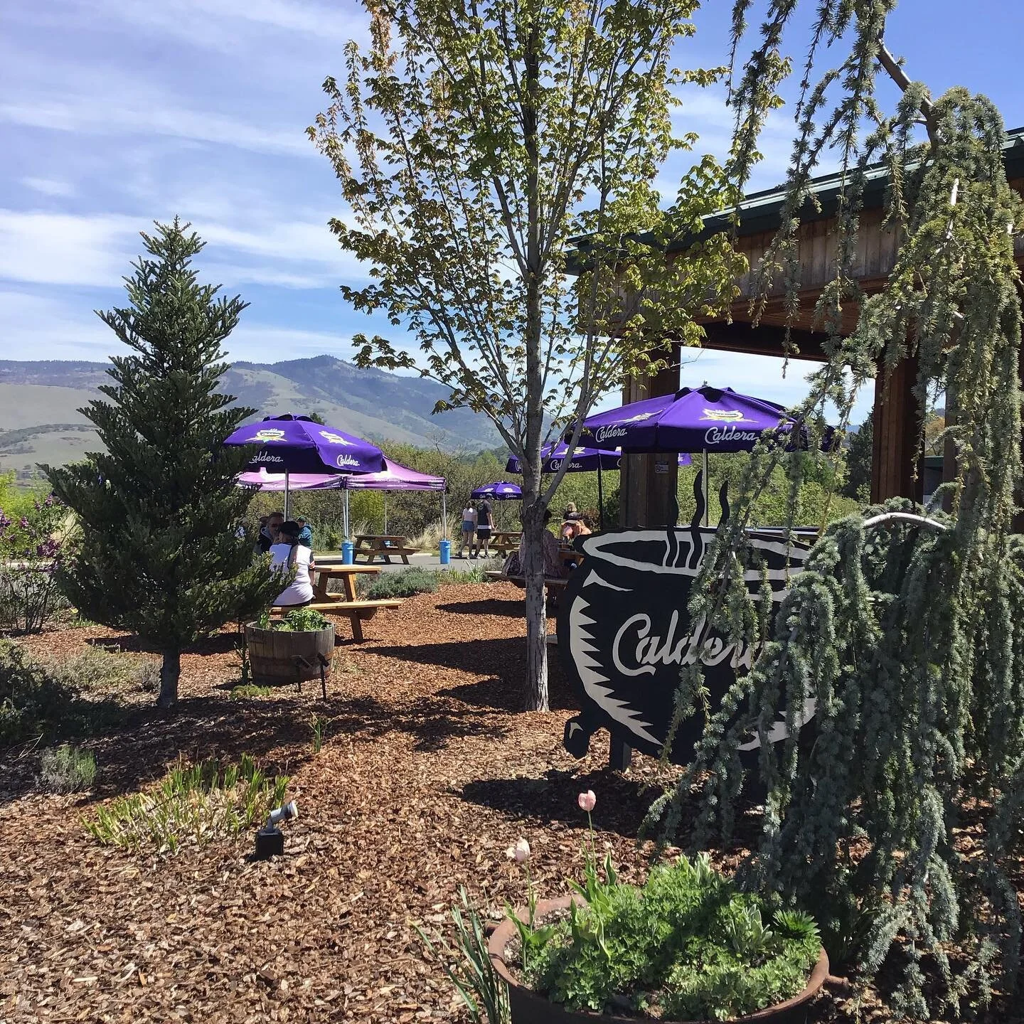 CALDERA BREWING COMPANY