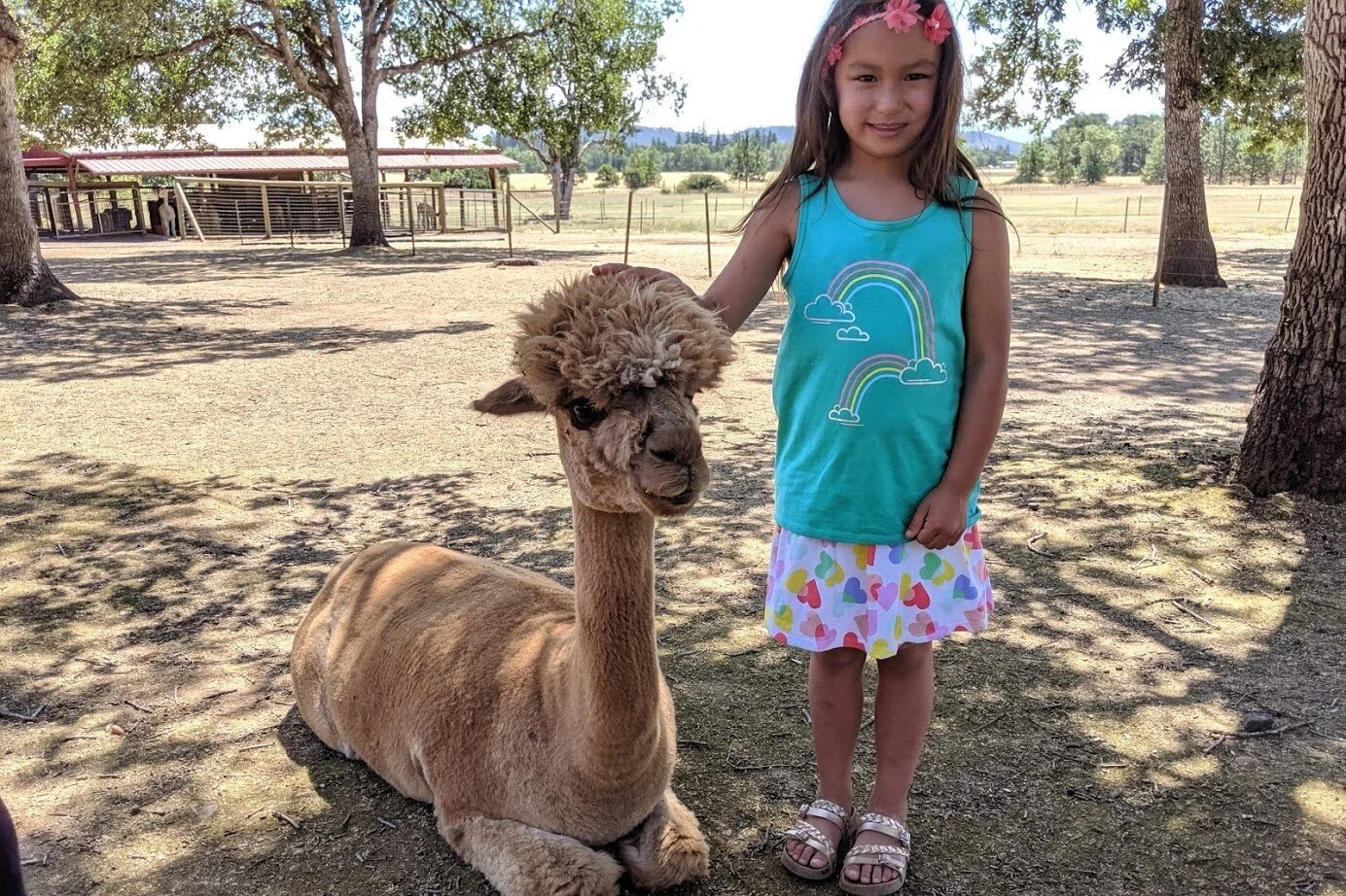 Rogue Valley Farm Tour Fun With Kids What To Do In Southern Oregon