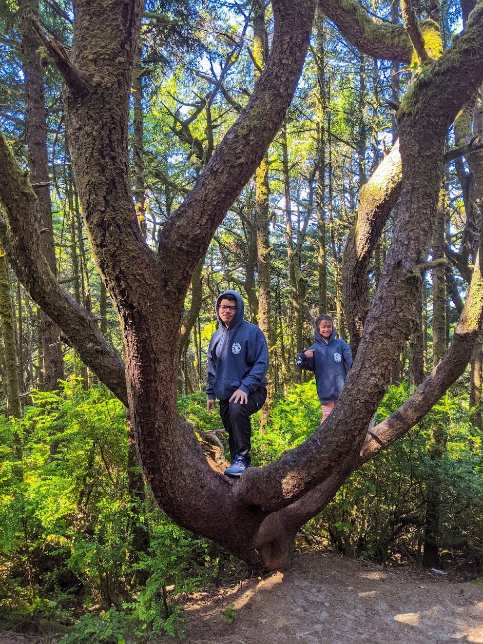 Hiking the Hobbit Trail on the Oregon Coast