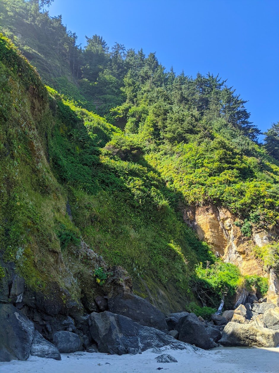 Hiking the Hobbit Trail on the Oregon Coast