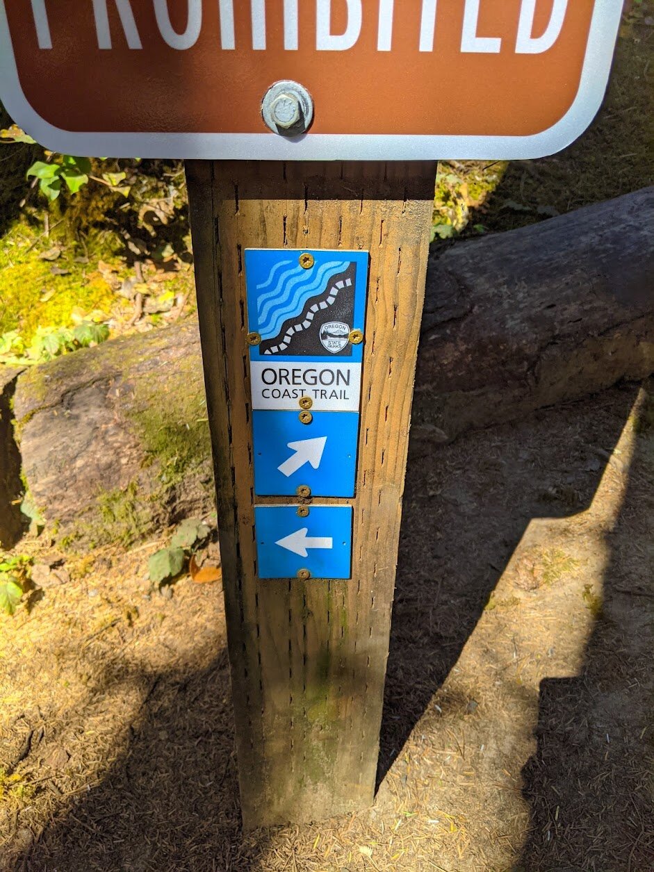 Hiking the Hobbit Trail on the Oregon Coast