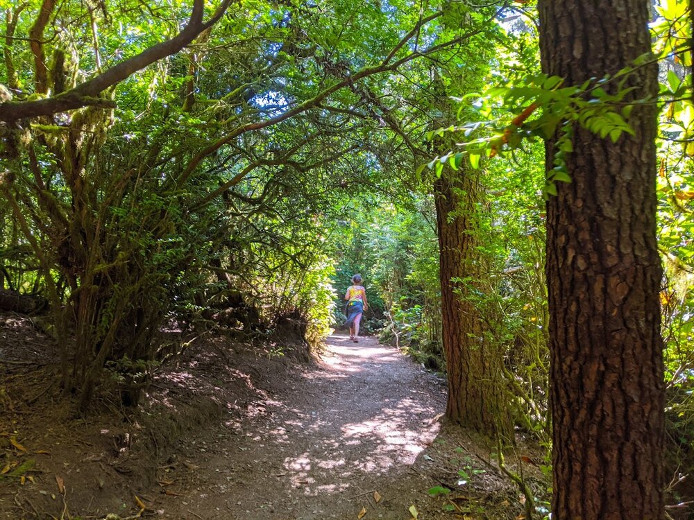 Hiking the Hobbit Trail on the Oregon Coast
