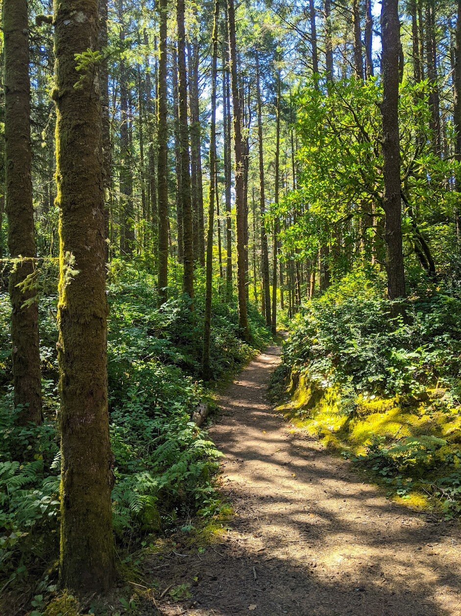 Hiking the Hobbit Trail on the Oregon Coast