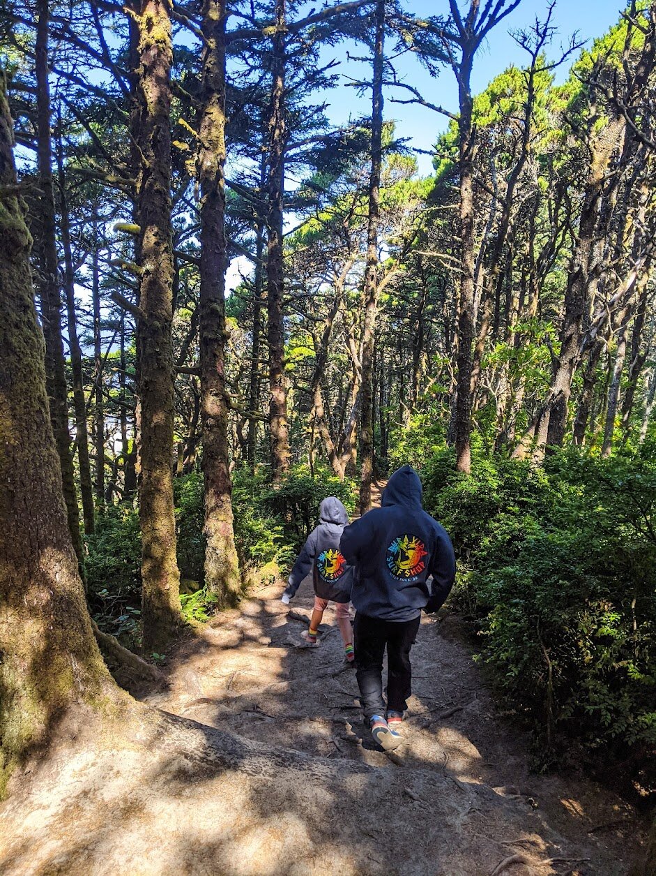 Hiking the Hobbit Trail on the Oregon Coast