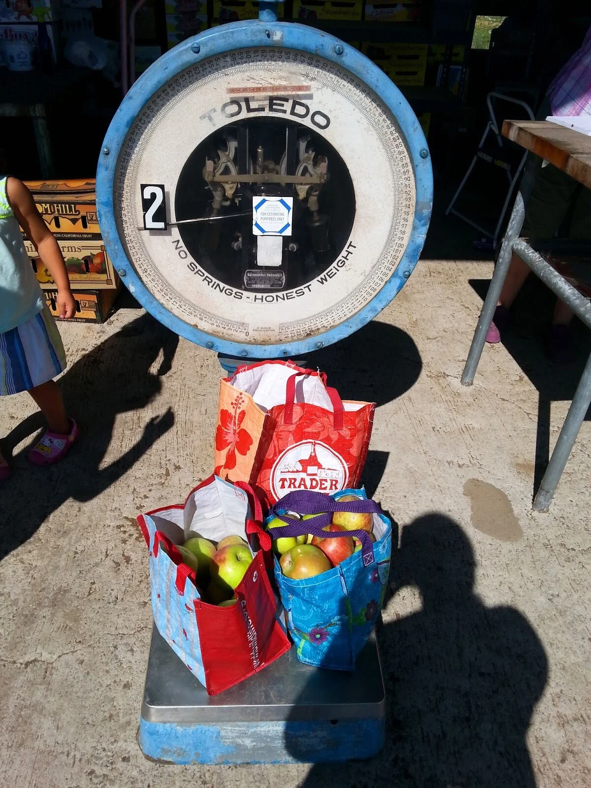 Apple Picking at Leonard Orchard