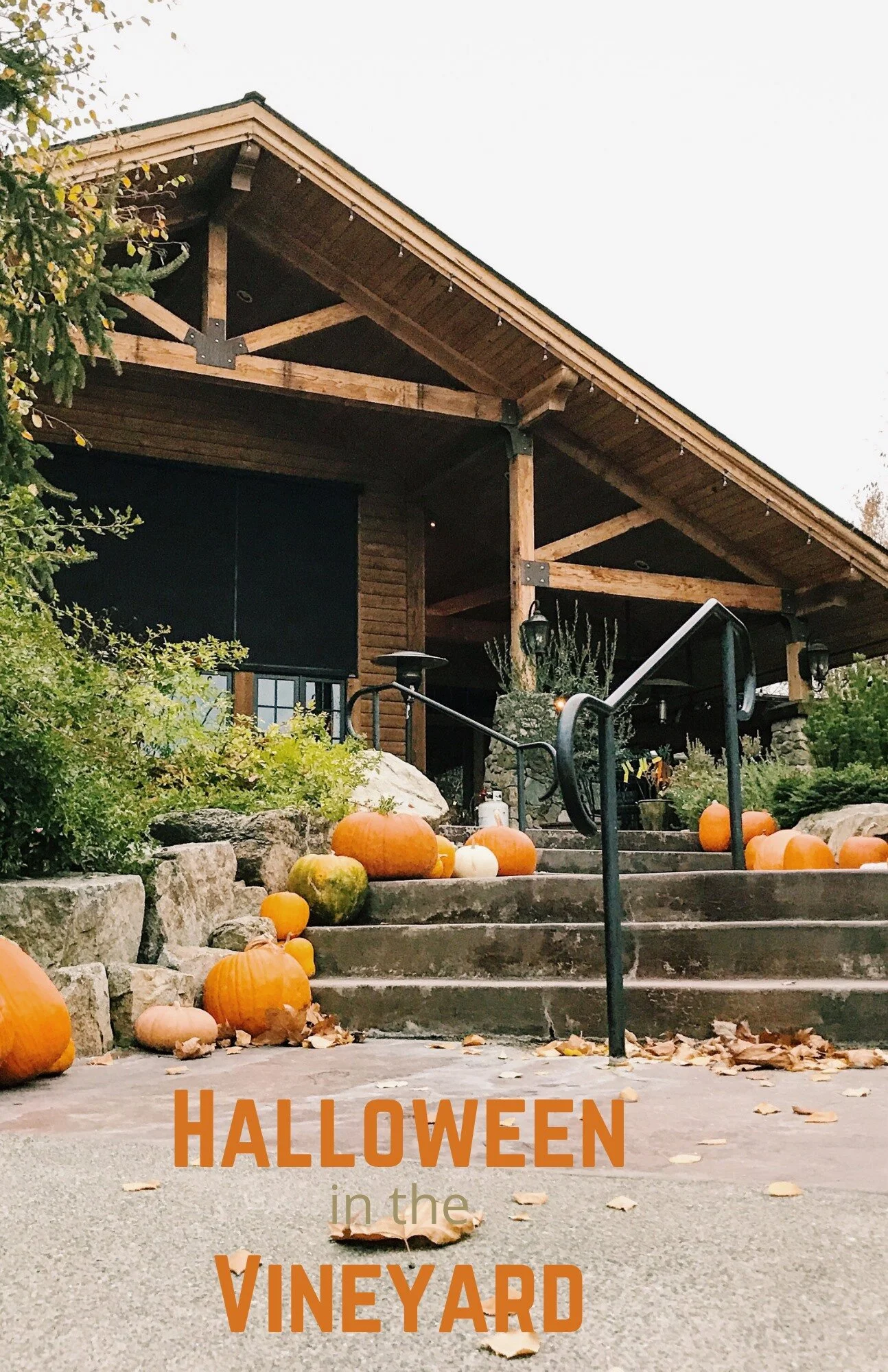 Schmidt Family Vineyards Halloween