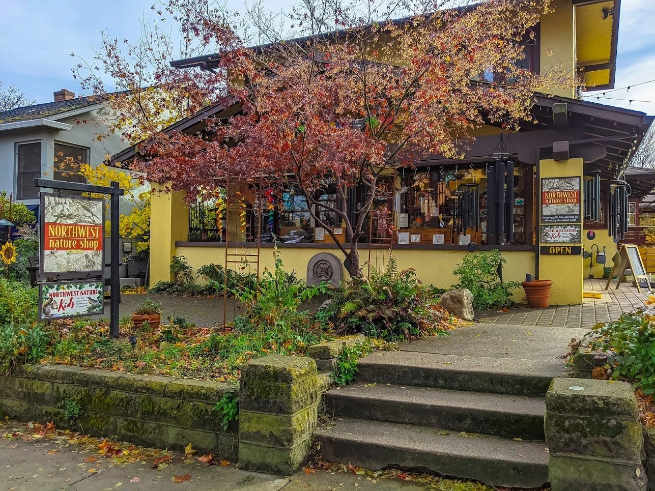NORTHWEST NATURE SHOP IN ASHLAND - SANTA