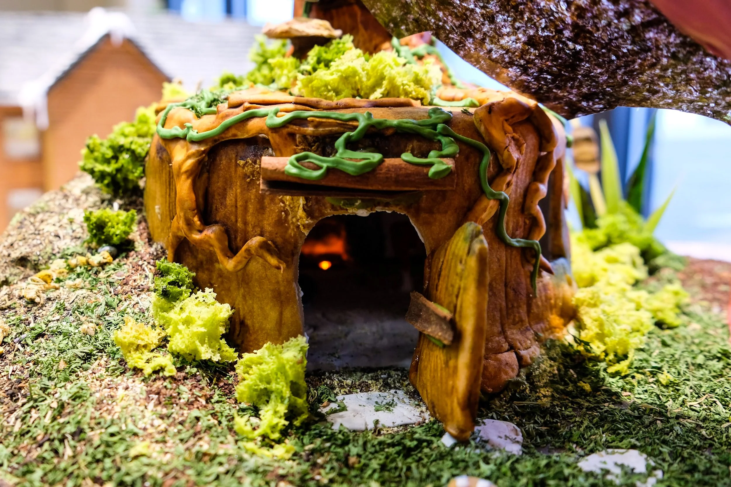 DSCF2970.jpg