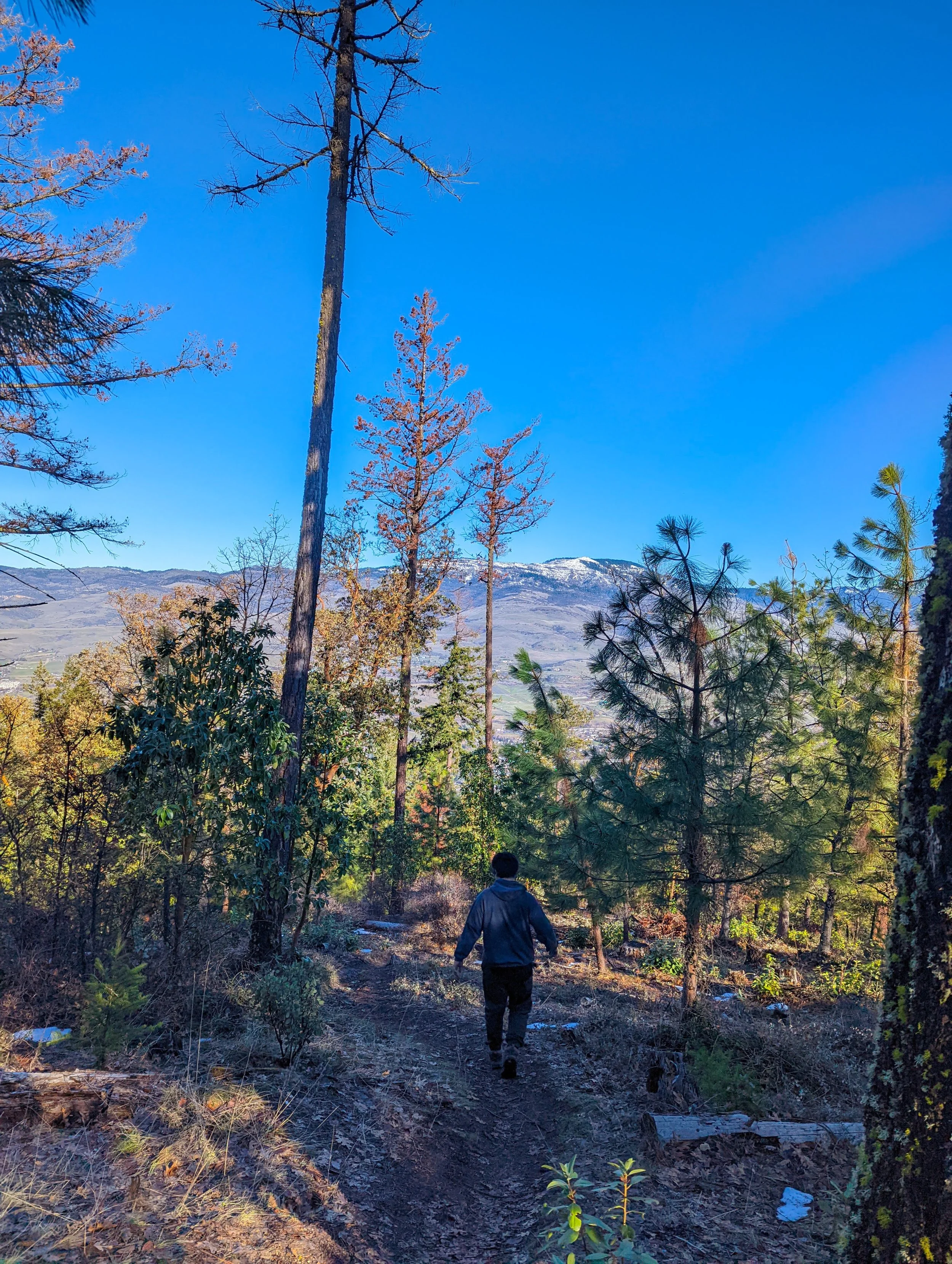 WHITE RABBIT - UHTOFF LOOP TRAIL & ALICE IN WONDERLAND TRAIL GALLERY
