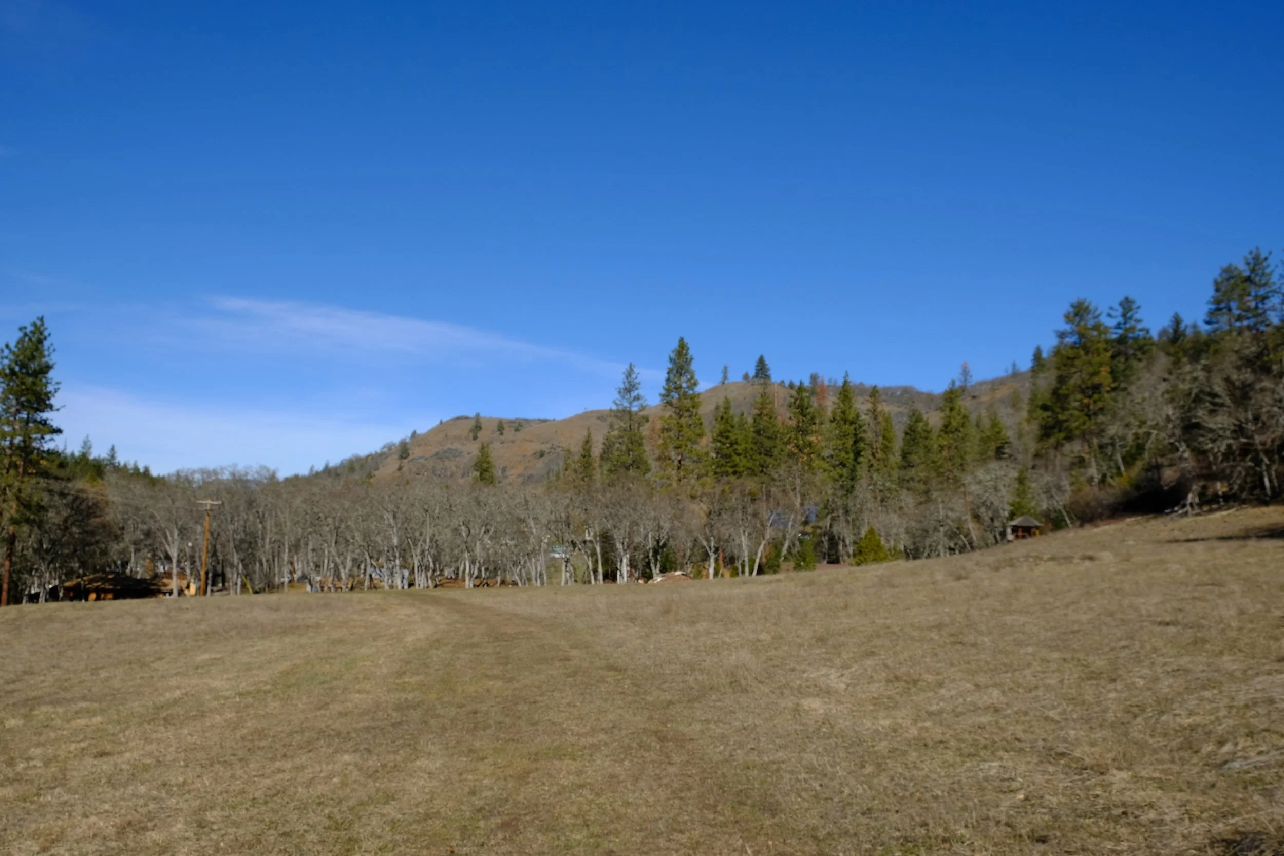 Buckhorn Springs Resort Hikes