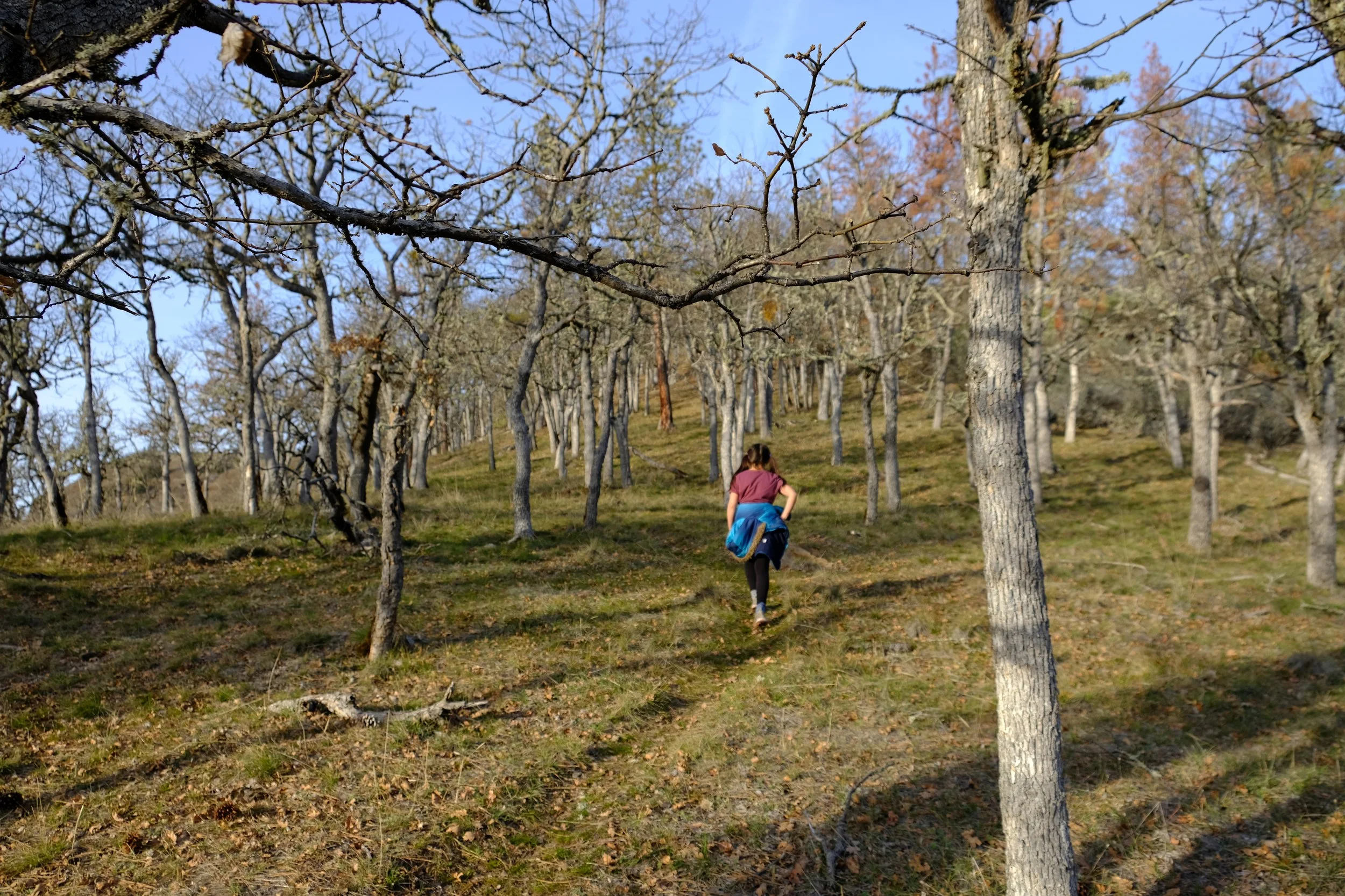 Buckhorn Springs Resort Hikes