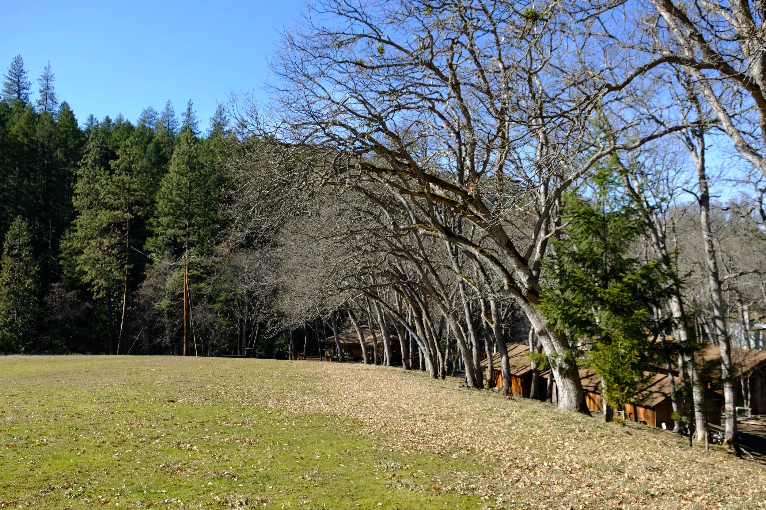 Buckhorn Springs Resort Hikes