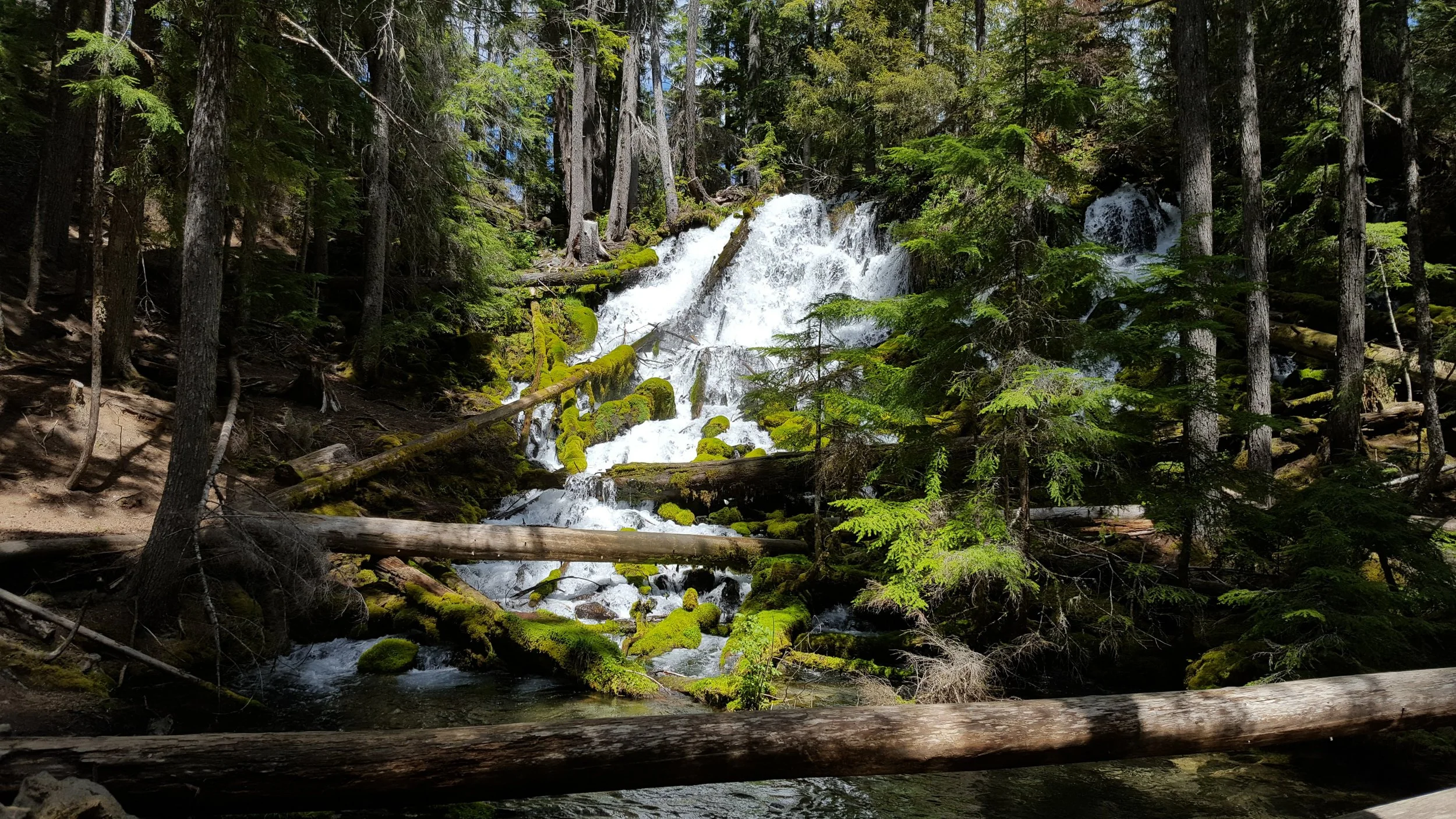 20180520_135940.jpg
