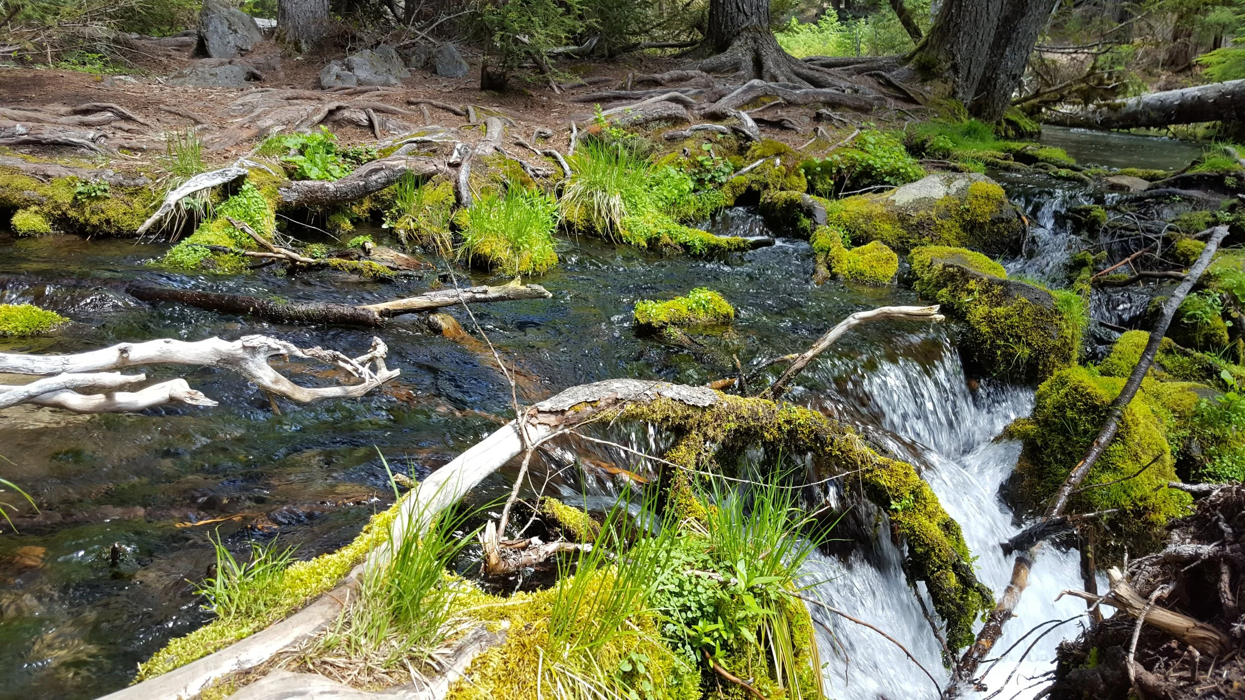 20180520_135313.jpg