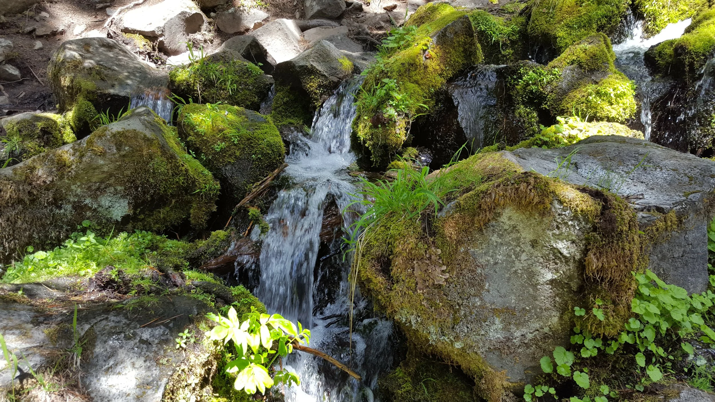 20180520_135427.jpg